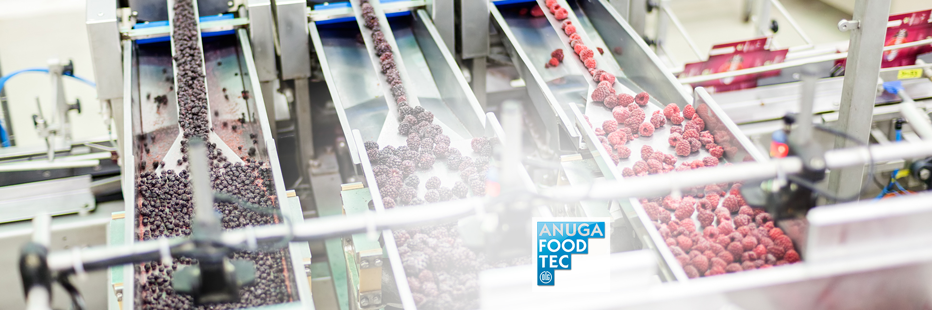 Verarbeitung von gefrorenen Beeren in einer Lebensmittelfabrik mit dem Logo der Anuga Food Tec